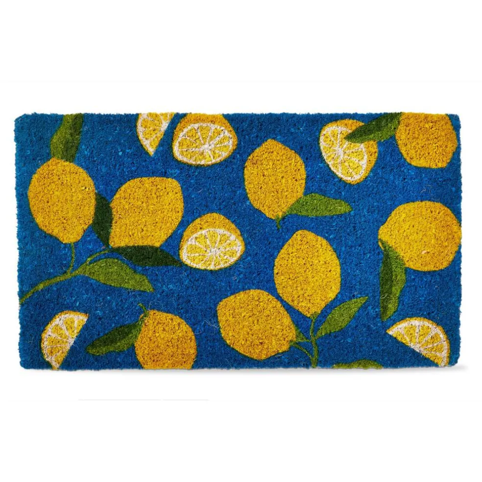 1'6" x 2'6" Lemons Coir Mat Multi Everyday Indoor Outdoor Doormat