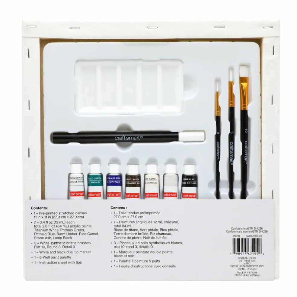 11" x 11" Moon & Bats Canvas Painting Kit by Craft Smart®