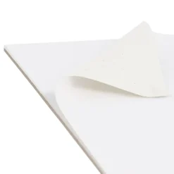 8" x 10" 10-Sheet 8-Ounce Triple Primed Acid-Free Canvas Paper Pad (Pack of 2 Pads), Canvas Paper for Acrylic Painting