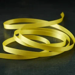 1/4" x 10yd. Satin Ribbon by Celebrate Itâ„¢