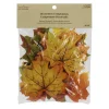 Yellow, Orange & Green Maple Leaves by Ashland®