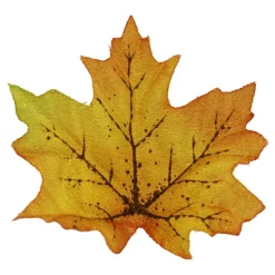 Yellow, Orange & Green Maple Leaves by Ashland®