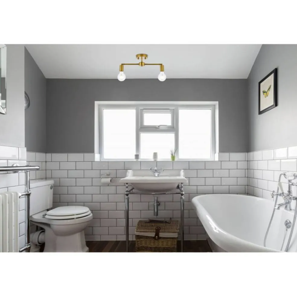 Zane 2 lights brass flush mount