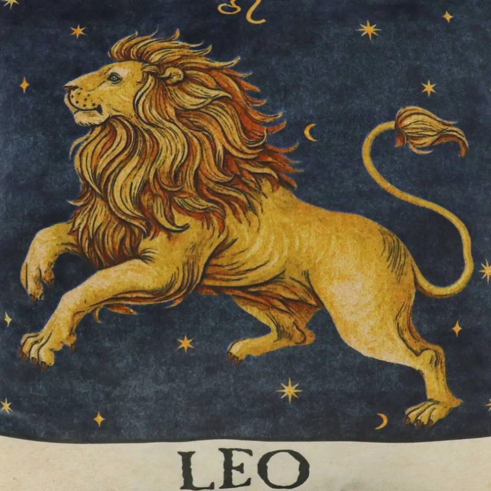 16" Zodiac Pillow by Ashland®
