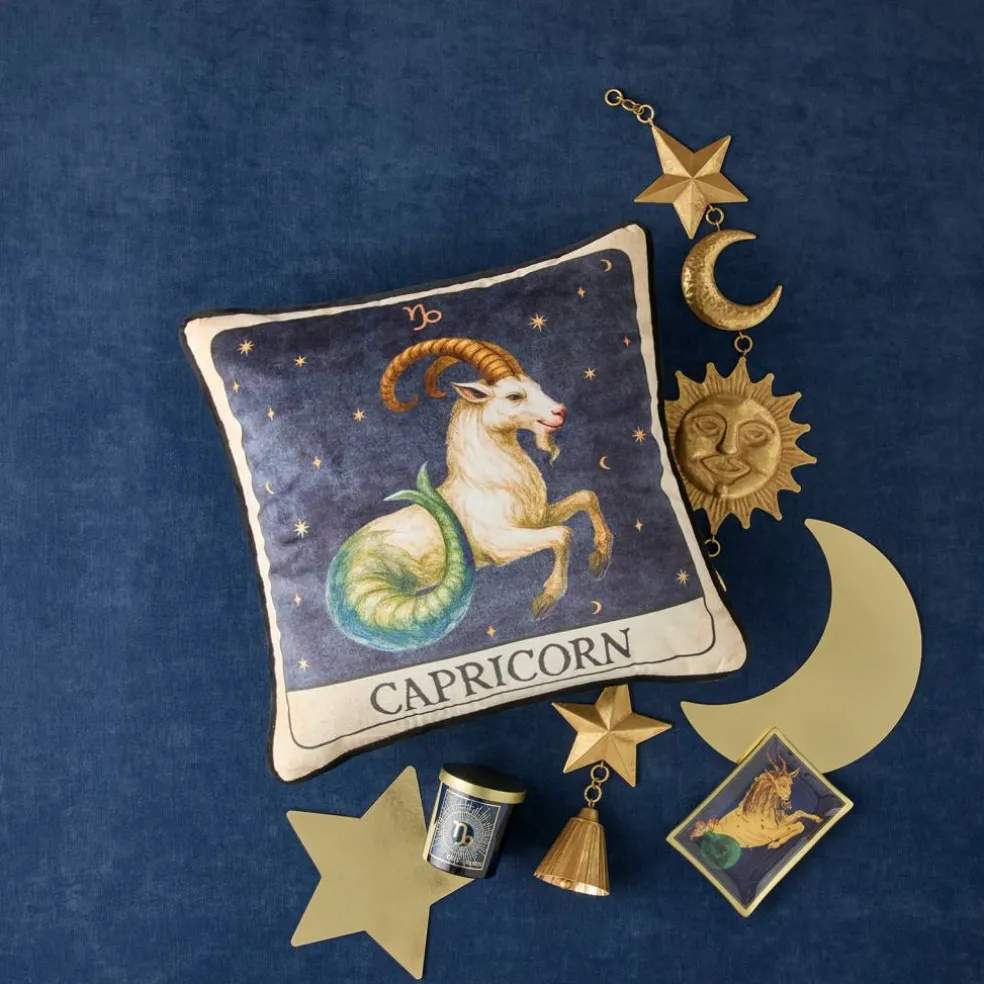 16" Zodiac Pillow by Ashland®