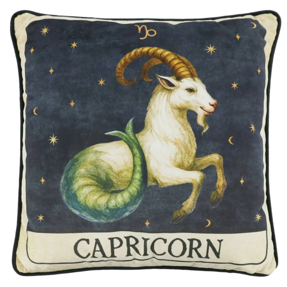 16" Zodiac Pillow by Ashland®