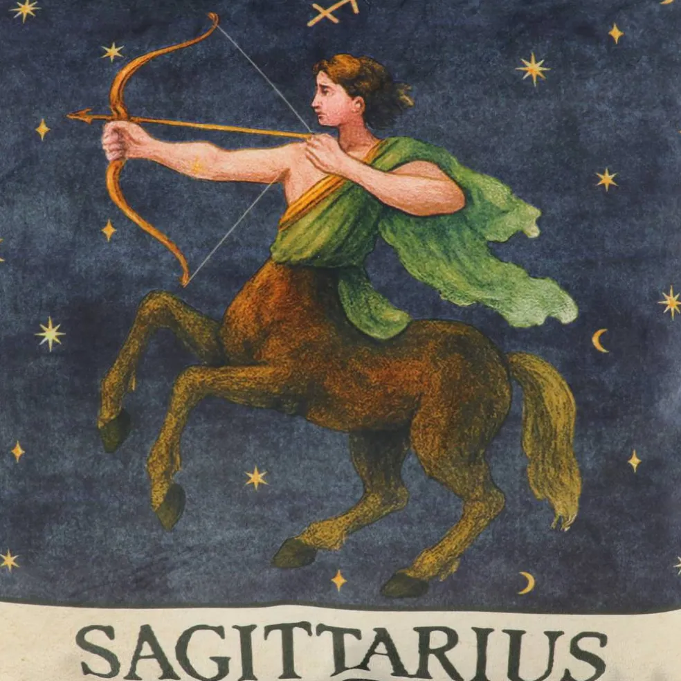 16" Zodiac Pillow by Ashland®